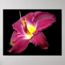 Recherche de fermeture posters Photographie