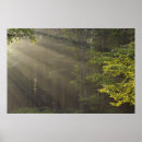 Recherche de rayons de lumière posters Brillant