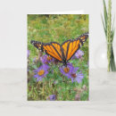 Recherche de papillon monarque vœux cartes Papillons