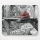 Recherche de orang outan tapis souris Primats