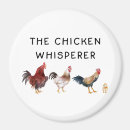 Recherche de poulets magnets Coq