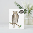 Recherche de grand hibou à cornes cartes postales Oiseau