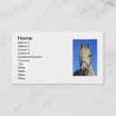 Recherche de cheval bleu cartes visite Animal