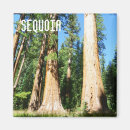 Recherche de beaux magnets Nature