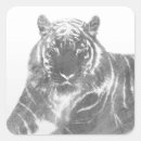 Recherche de motif de jungle autocollants Tigre