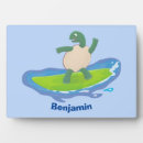 Recherche de tortue plaques Tortue de mer