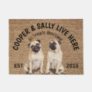 Recherche de de chien carlin paillassons Animaux domestiques