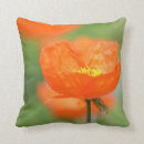 Recherche de fleur orange coussins Photographie