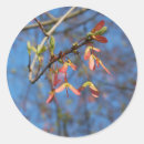 Recherche de graines autocollants Nature