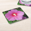 Recherche de pétales dessous de verres Fleurs