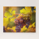 Recherche de vignoble puzzles Raisins