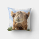 Recherche de dromadaire coussins Animal