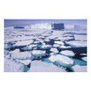 Recherche de antarctique posters Pittoresque