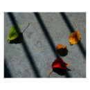 Recherche de maple leaf art Automne