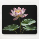 Recherche de lotus tapis souris Nature
