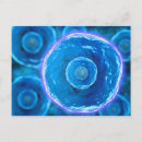 Recherche de système immunitaire cartes postales Globules blancs