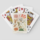 Recherche de aquatique jeux de cartes Vintage