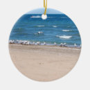 Recherche de mouettes ornements L'eau