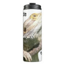 Recherche de dragon barbu tasses Lézards