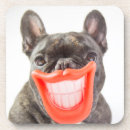 Recherche de sourire dessous de verres Photographie