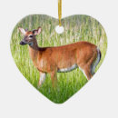 Recherche de outdoorsman maison deco Animal