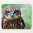 Recherche de rapaces tapis souris Pour tous