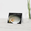 Recherche de zantedeschia vœux cartes Amour
