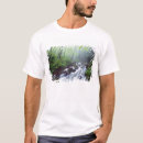 Recherche de linn Cascade