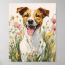 Recherche de russel posters Jack russell