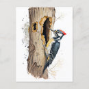 Recherche de tronc cartes postales Aquarelle