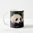 Recherche de un panda géant tasses Pandas