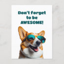 Recherche de animaux humoristiques cartes postales Pour tous