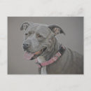 Recherche de staffordshire bull terrier cartes postales Animal