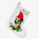 Recherche de corgi chaussette de noël Animaux domestiques