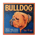 Recherche de taureaux carreaux Animal