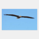 Recherche de aigle en vol autocollants Militaire