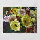 Recherche de gerberas cartes postales Rouge