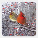 Recherche de cardinaux autocollants Hiver