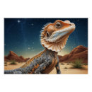 Recherche de jeune animal posters Faune