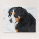 Recherche de berner puzzles Animal