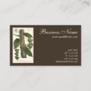 Recherche de herbes et épices cartes visite Cuisine