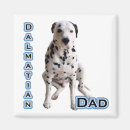 Recherche de dalmatien magnets Formation