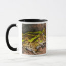 Recherche de cornue tasses David northcott