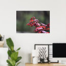 Recherche de feuille verte posters Jardin