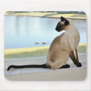 Recherche de chats siamois tapis souris Point de joint