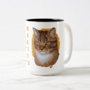 Recherche de whiskers tasses Pour tous