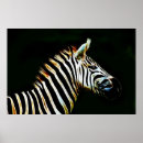 Recherche de rayures noires et blanches posters Zèbre
