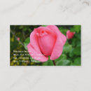 Recherche de superbe cartes visite Rose