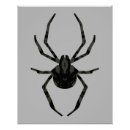 Recherche de arachnide posters Noir