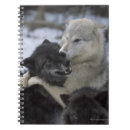 Recherche de loups carnets Chien